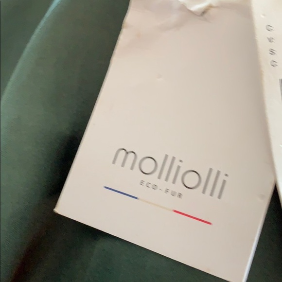 Anthropologie Faux Fur jacket - Picture 3 of 5